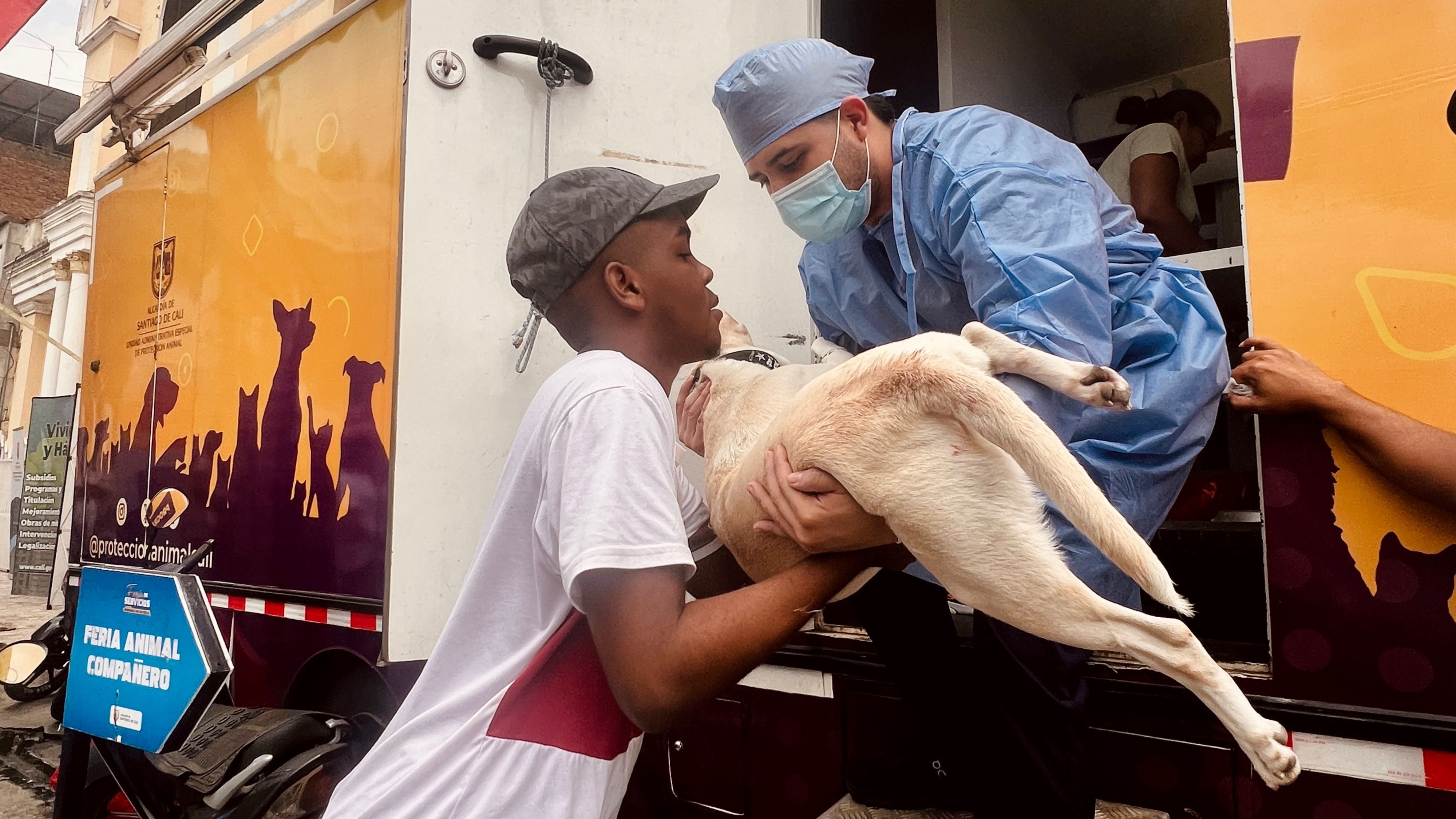 Jornada de esterilización.jpg