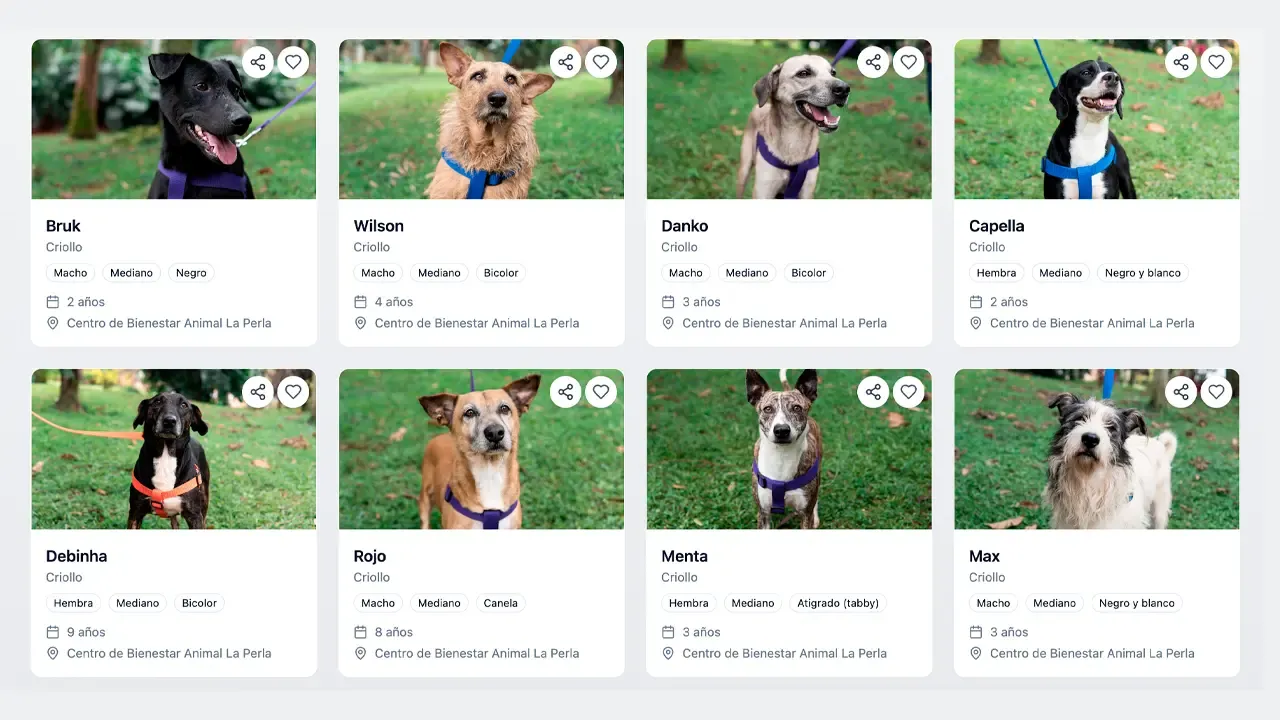 En la foto: Plataforma SuabueSOS