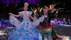 Carnaval de los niños (1).webp