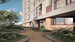 Proyectamos y Edificamos