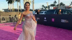 ana del castillo (3).webp