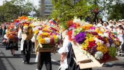 Feria de las flores.webp